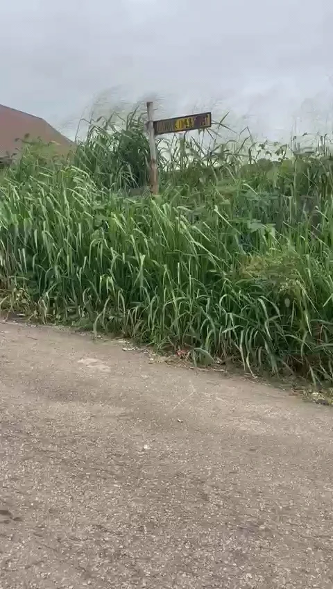 Land for Sale in Golf estate, Enugu - Image 4