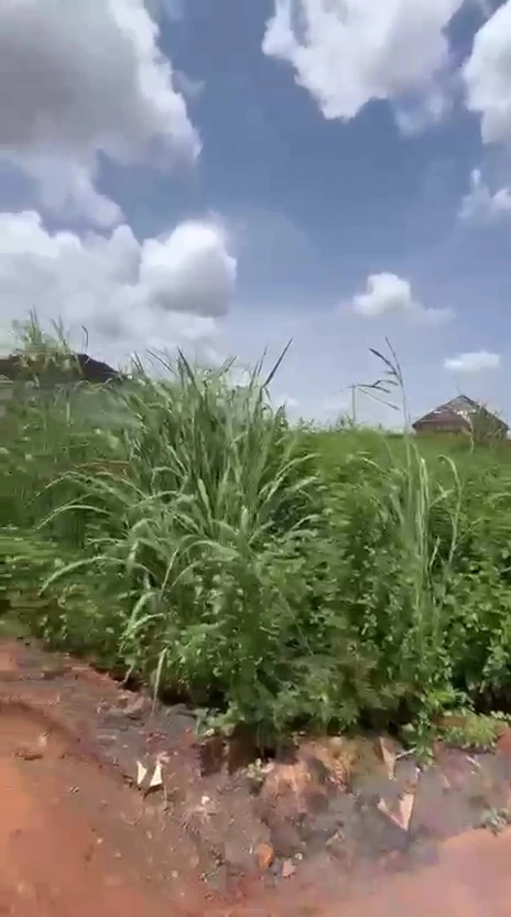 Land for Sale in Heliu Estate, Enugu - Image 2