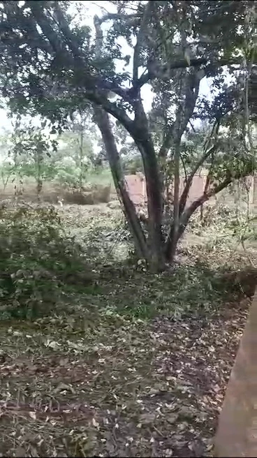 Land for Sale in Amaechi, Enugu - Image 2