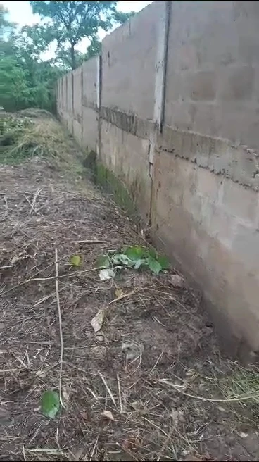 Land for Sale in Amaechi, Enugu - Image 4