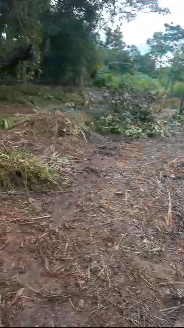 Land for Sale in Amaechi, Enugu - Image 5