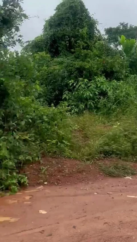 Land for Sale in Centenary, Enugu - Image 3
