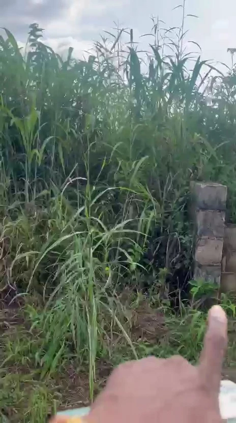 Land for Sale in Centenary, Enugu - Image 2