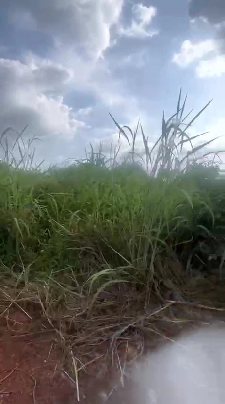 Land for Sale in Centenary, Enugu - Image 6