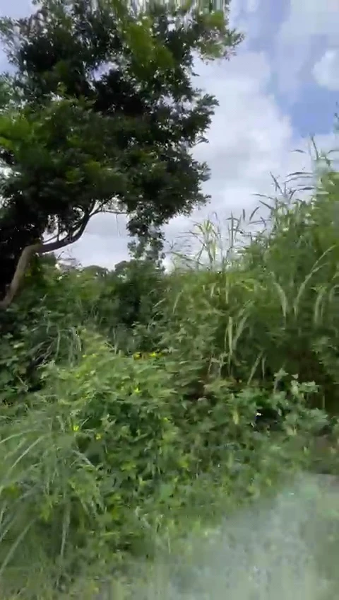 Land for Sale in Centenary, Enugu - Image 2