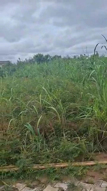 Land for Sale in Centenary, Enugu - Image 2