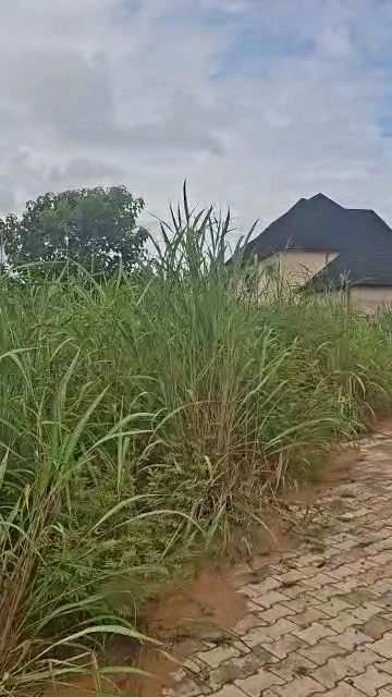 Land for Sale in Centenary, Enugu - Image 1