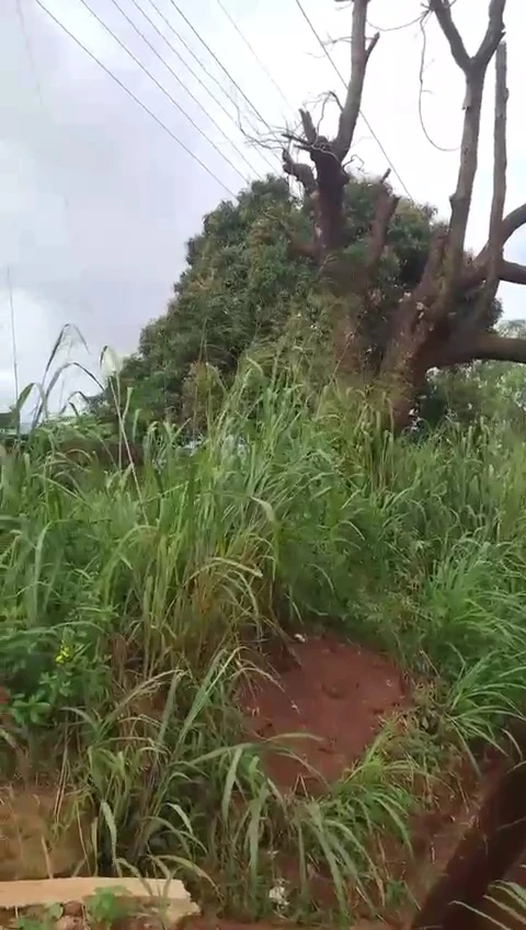 Land for Sale in Thinkers Corner, Enugu - Image 2