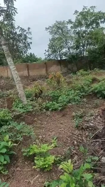 Land for Sale in Emene, Enugu - Image 1