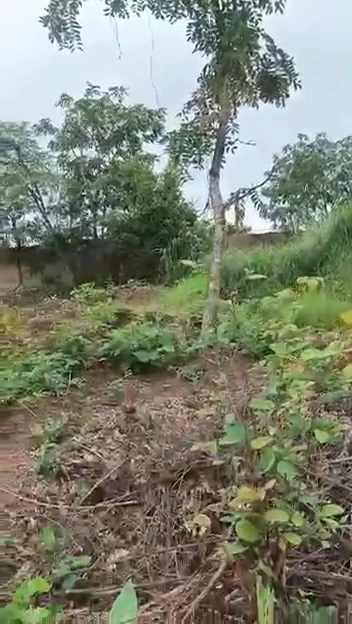 Land for Sale in Emene, Enugu - Image 2