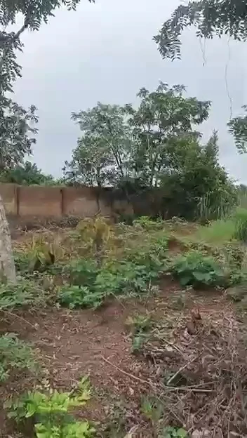 Land for Sale in Emene, Enugu - Image 4