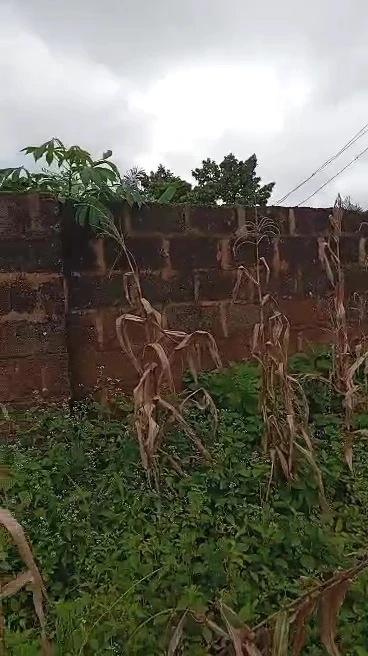 Land for Sale in Nsukka, Enugu - Image 2