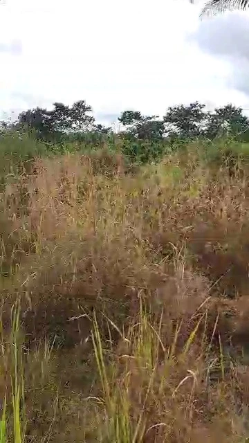 Land for Sale in Uguomu, Enugu - Image 2