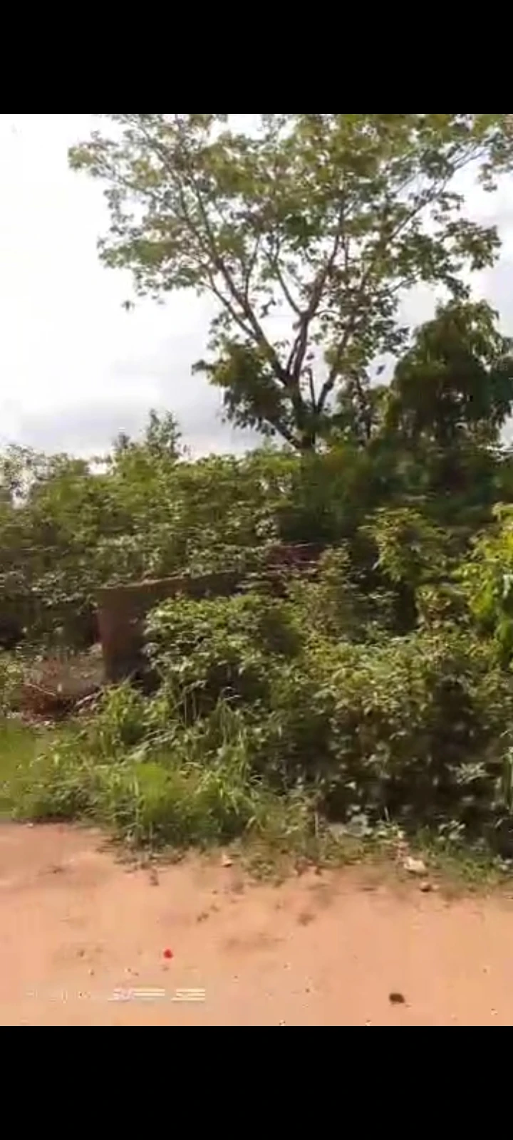 Land for Sale in transe-rodrome layout, Enugu - Image 1