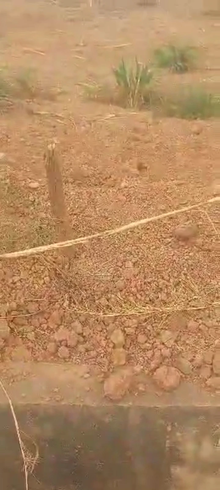 Land for Sale in Emene, Enugu - Image 1