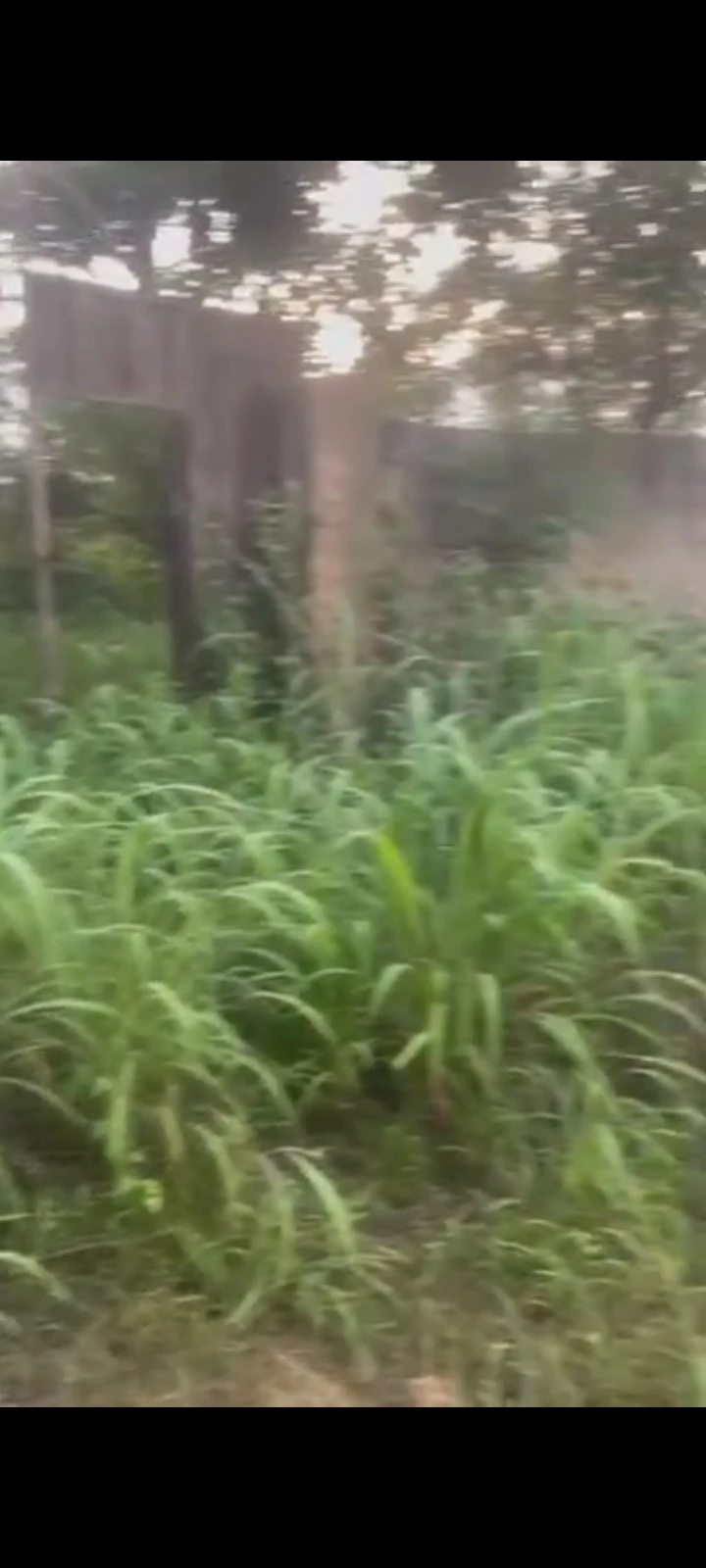 Land for Sale in Jedidiah estate, Enugu - Image 1