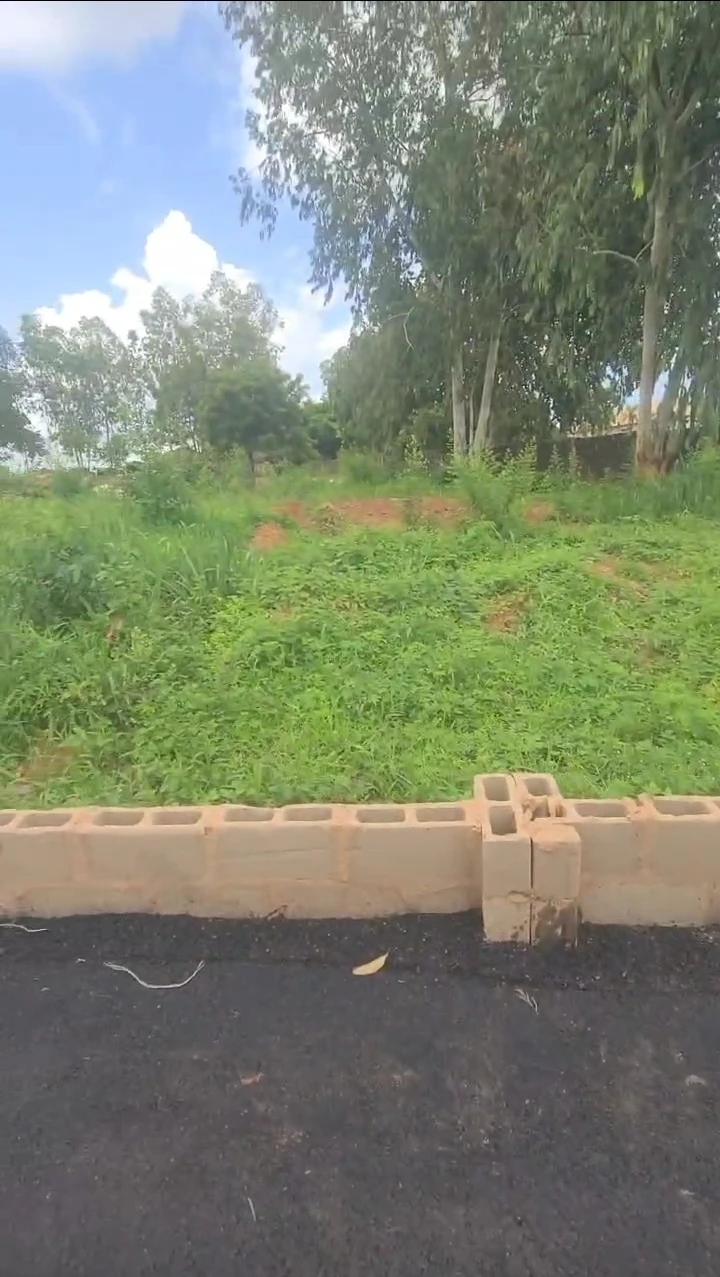 Land for Sale in Ibusa, Enugu - Image 1