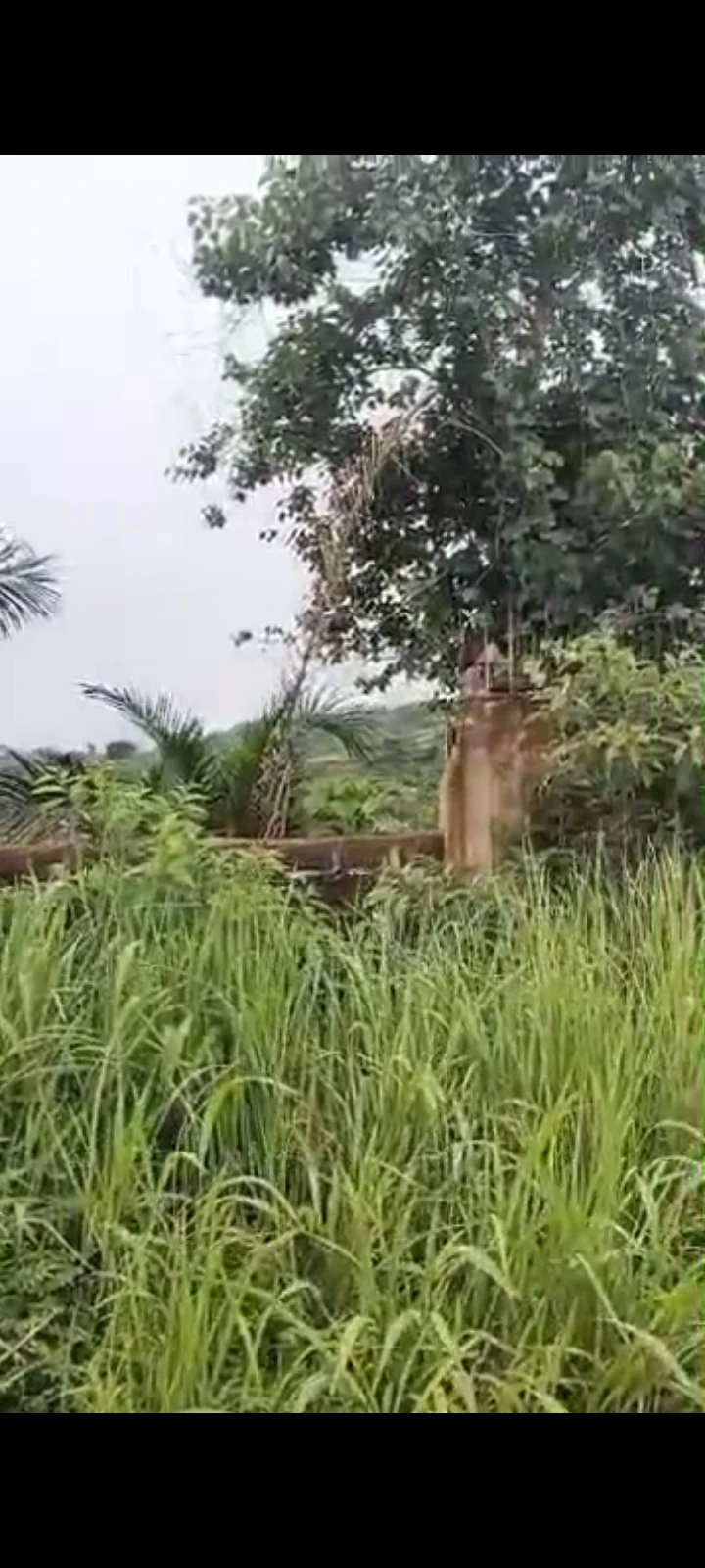Land for Sale in Conquest Estate, Phase 6 extension Trans Ekulu Enugu.., Enugu - Image 1