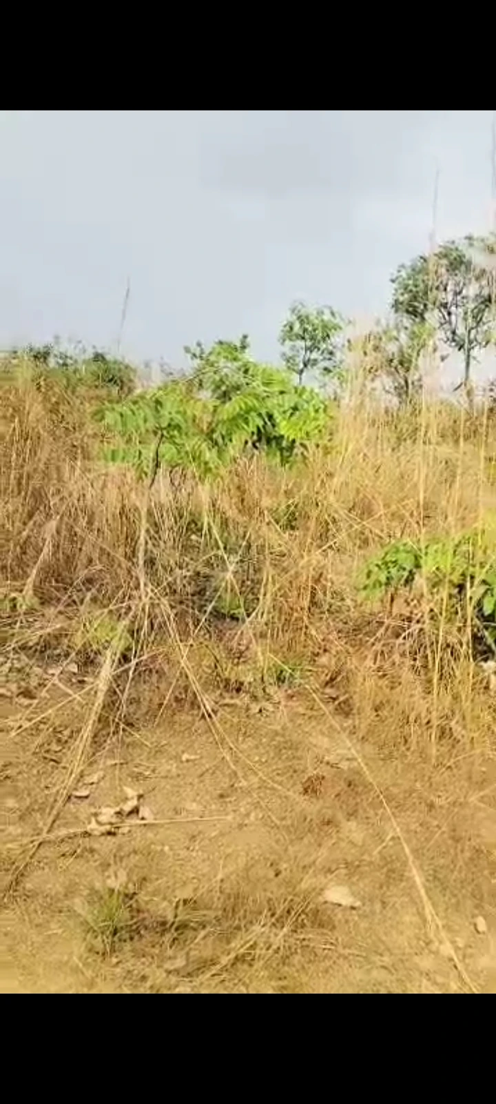 Land for Sale in Trans-Ekulu, Enugu - Image 1