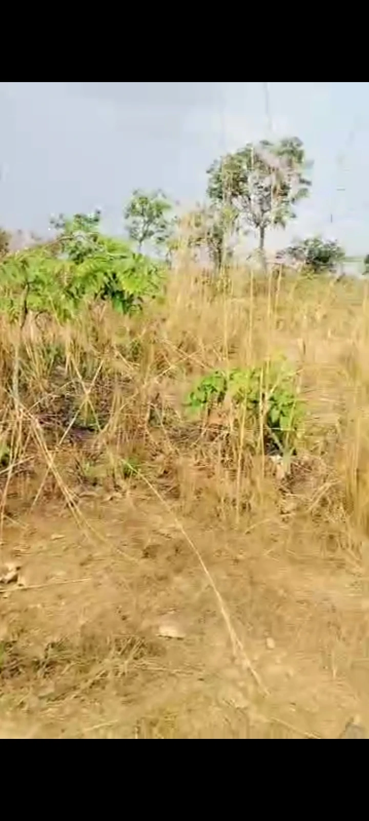 Land for Sale in Trans-Ekulu, Enugu - Image 2