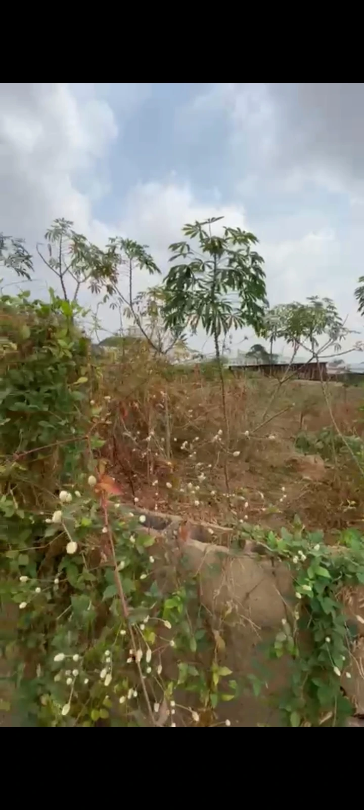 Land for Sale in Emene Behind ANAMCO, Enugu - Image 1