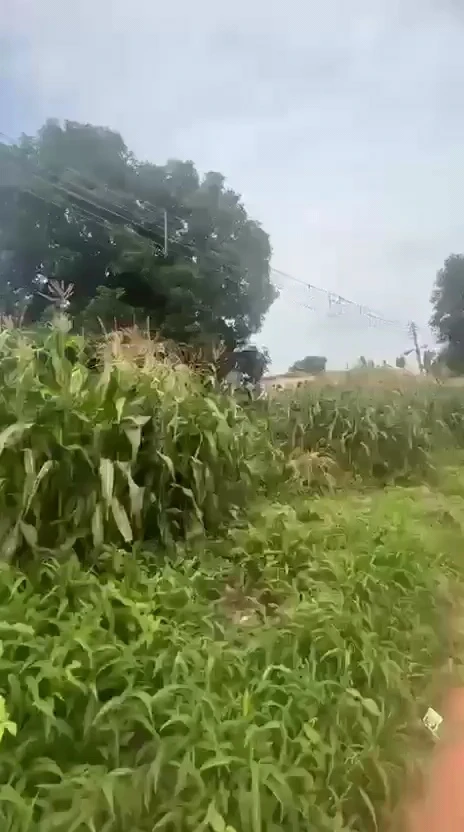 Land for Sale in Transekulu, Enugu - Image 1
