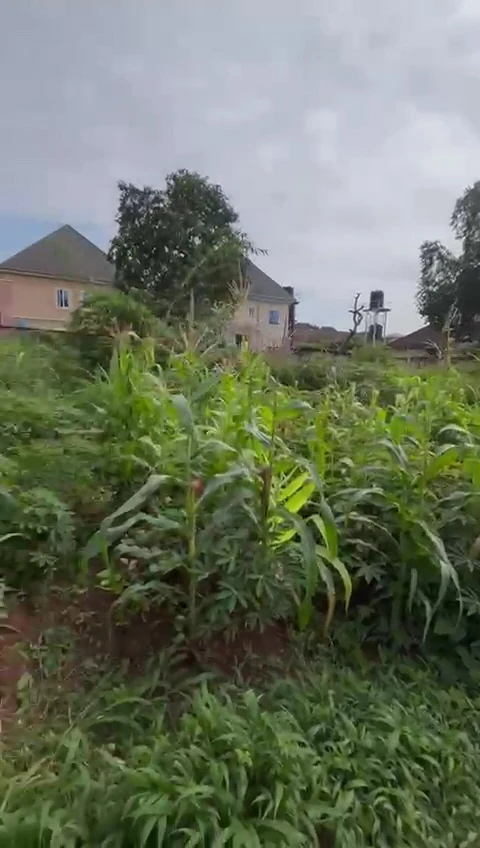Land for Sale in Mary land, Enugu - Image 1