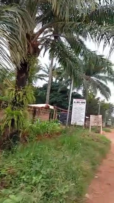Land for Sale in Nsukka, Enugu - Image 1