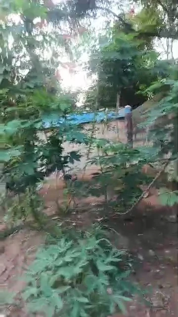 Land for Sale in Emene, Enugu - Image 3