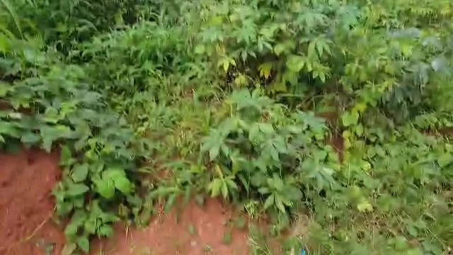 Land for Sale in Nsukka, Enugu - Image 2
