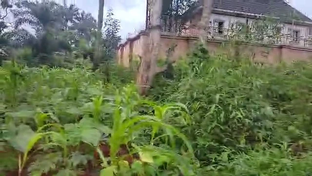 Land for Sale in Nsukka, Enugu - Image 4