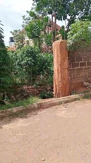 Land for Sale in Transekulu, Enugu - Image 2
