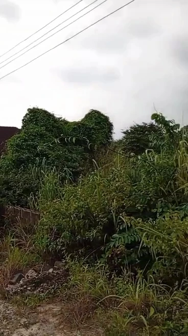 Land for Sale in Centenary, Enugu - Image 2