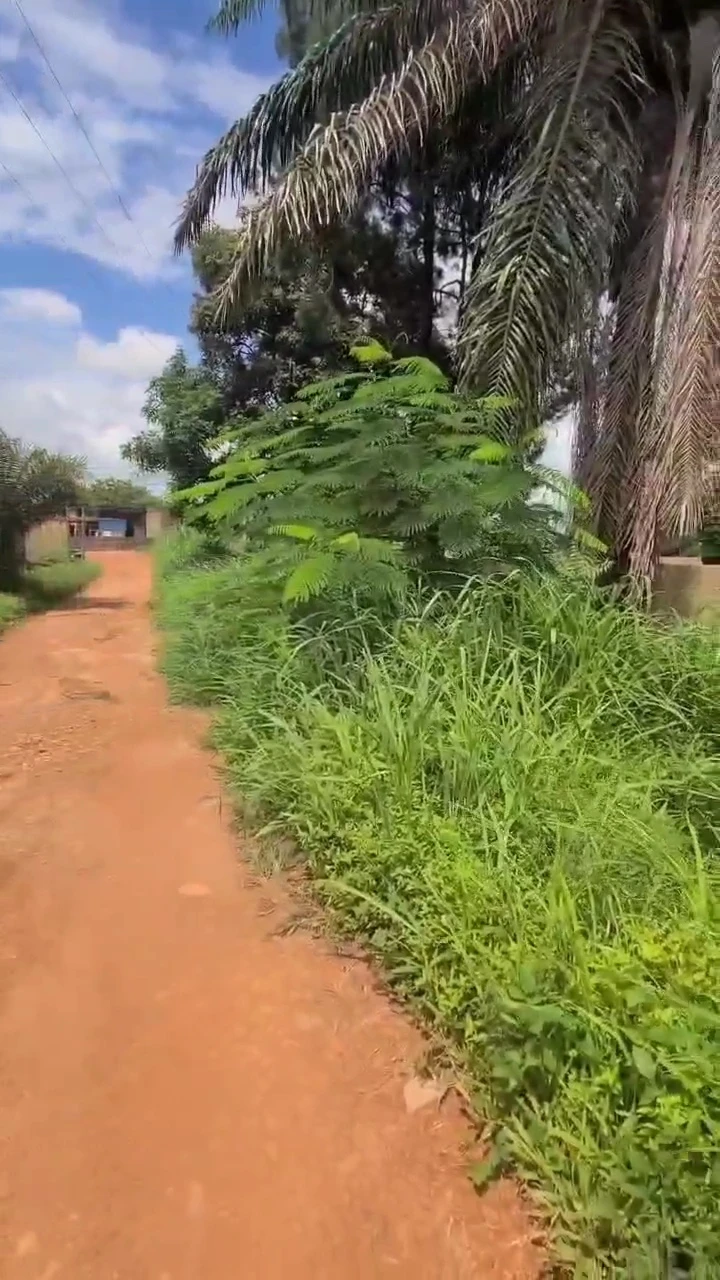 Land for Sale in Anamco Emene, Enugu - Image 4