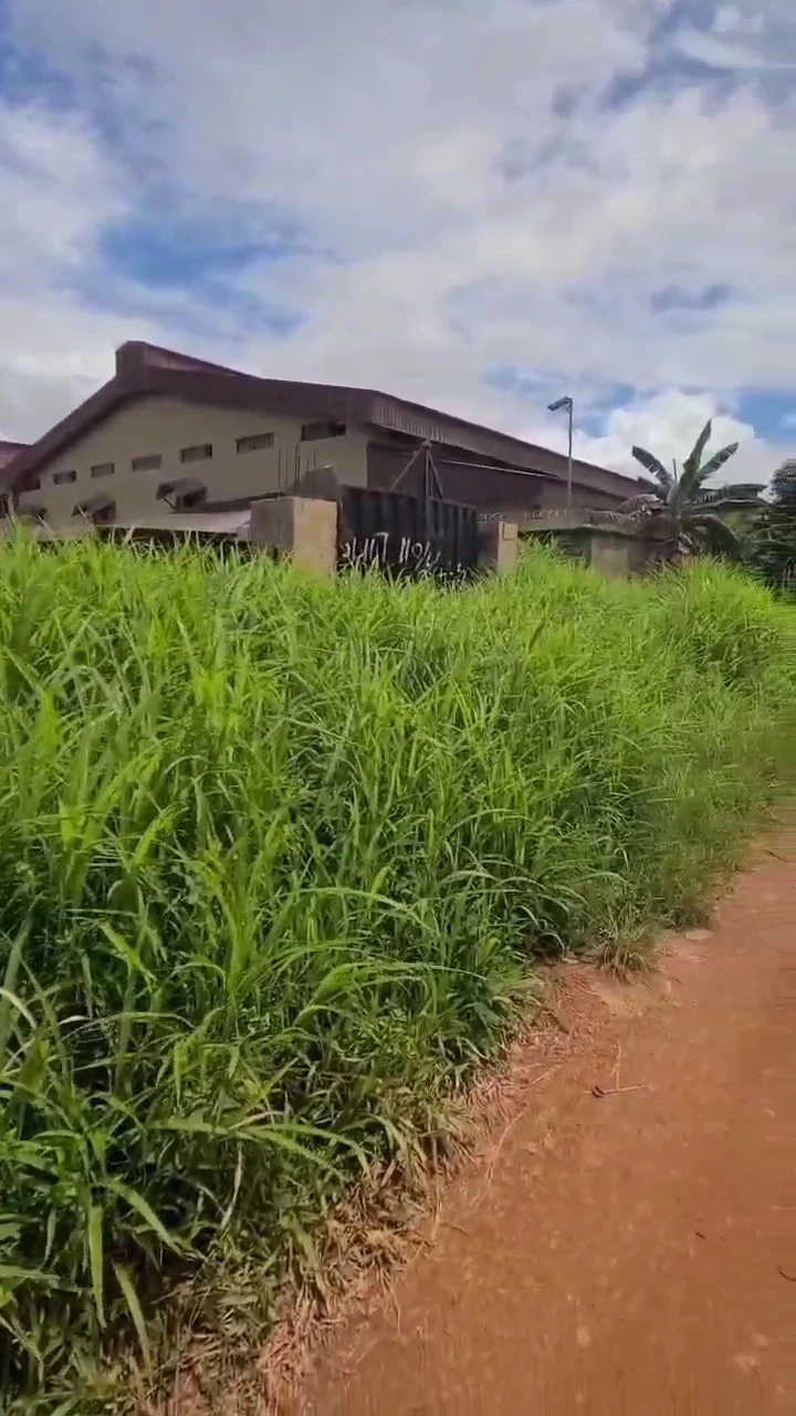 Land for Sale in Anamco Emene, Enugu - Image 2