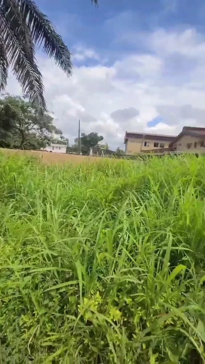 Land for Sale in Anamco Emene, Enugu - Image 1