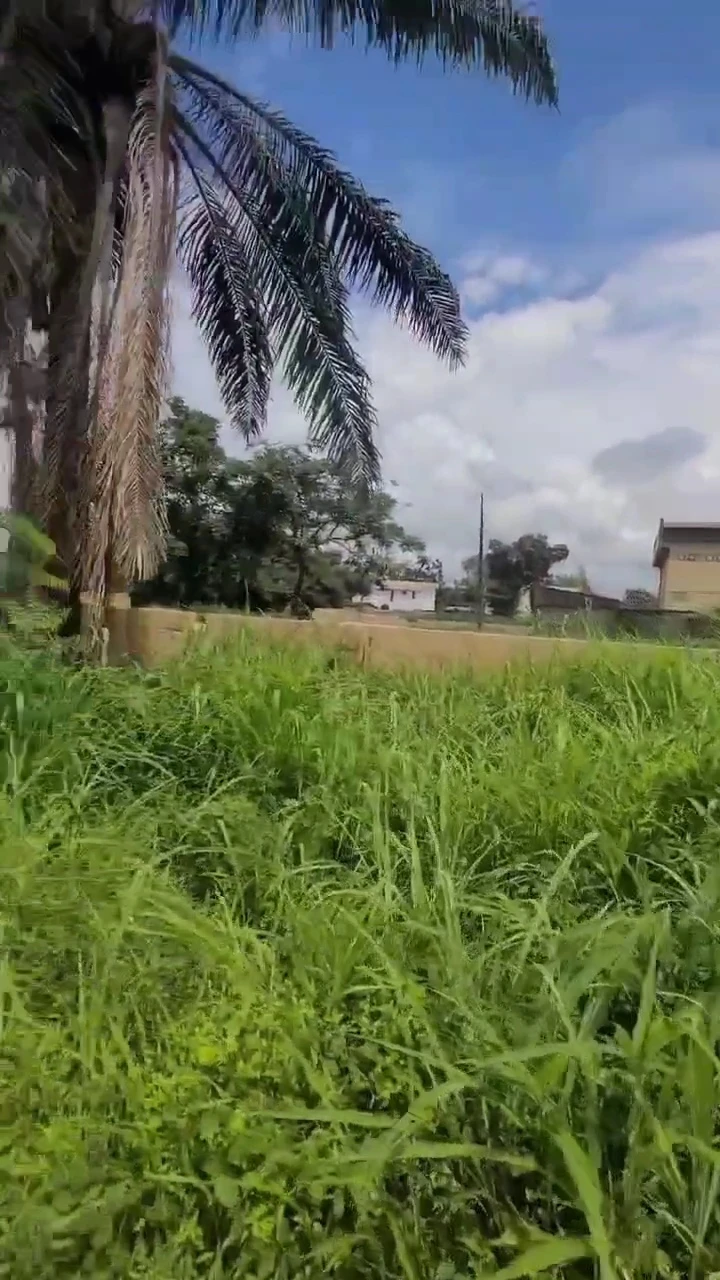 Land for Sale in Anamco Emene, Enugu - Image 3