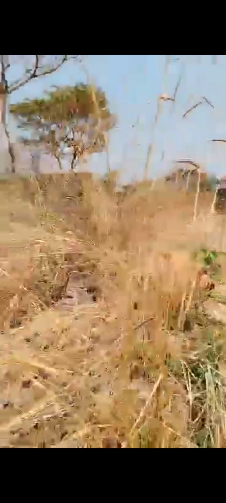 Land for Sale in Upper Rehab Road Emene, Enugu - Image 2