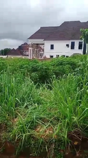 Land for Sale in Transparency, Enugu - Image 4