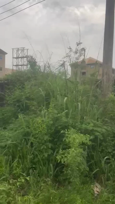 Land for Sale in Ebony paint, Enugu - Image 6