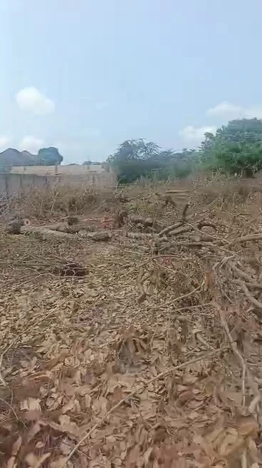 Land for Sale in Centenary, Enugu - Image 4