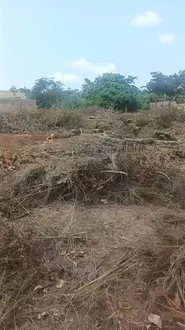Land for Sale in Centenary, Enugu - Image 3