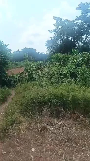 Land for Sale in Centenary, Enugu - Image 2