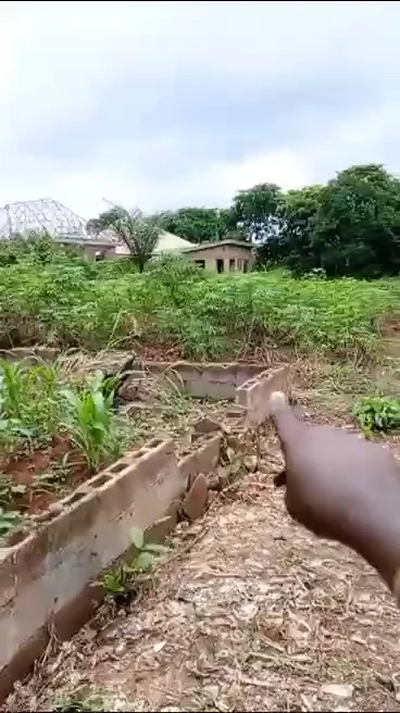 Land for Sale in Emene, Enugu - Image 4