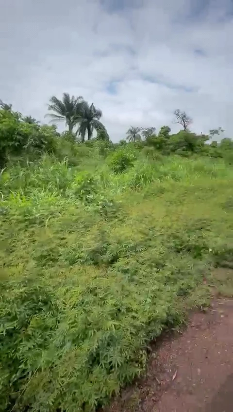 Land for Sale in Ituku ozalla, Enugu - Image 1
