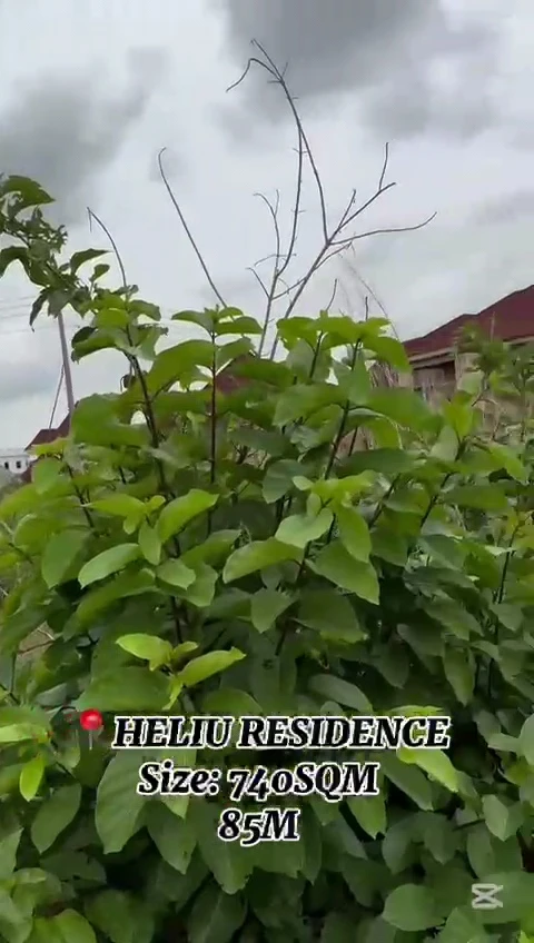 Land for Sale in Heliu Estate, Enugu - Image 2