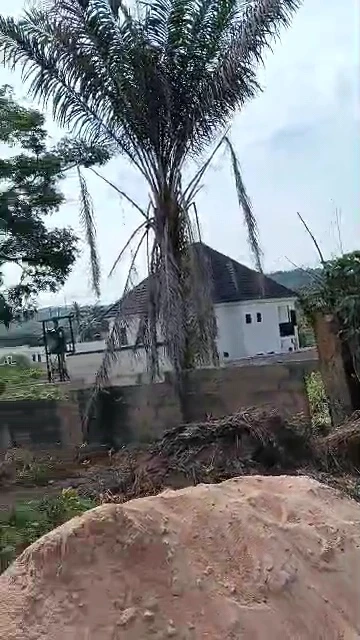 Land for Sale in Transekulu, Enugu - Image 3