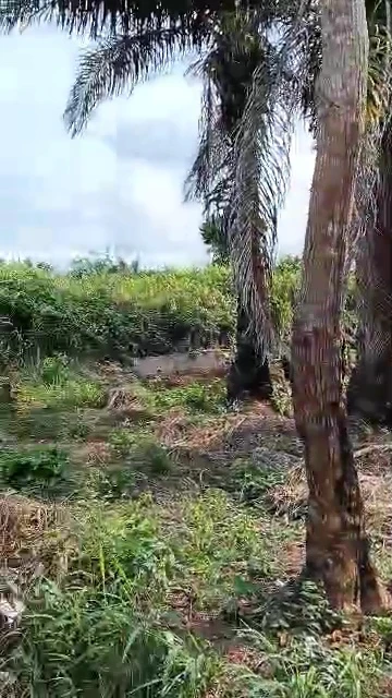 Land for Sale in Transekulu, Enugu - Image 4