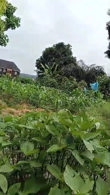 Land for Sale in Golf annex, Enugu - Image 2