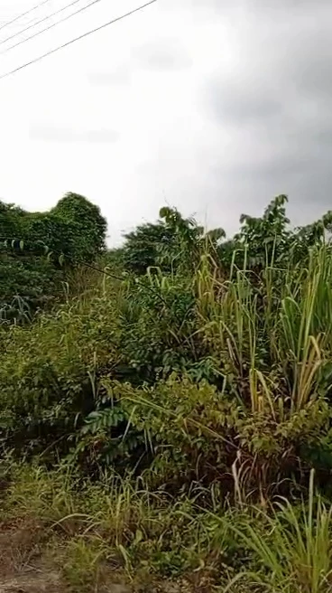 Land for Sale in Centenary, Enugu cover picture